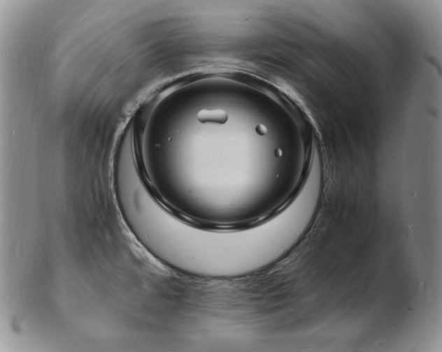 X0000103251480200808281452