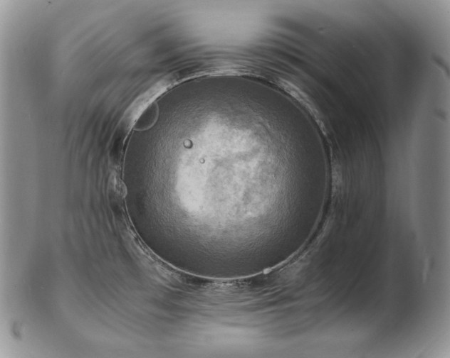 X0000103251481200808281452