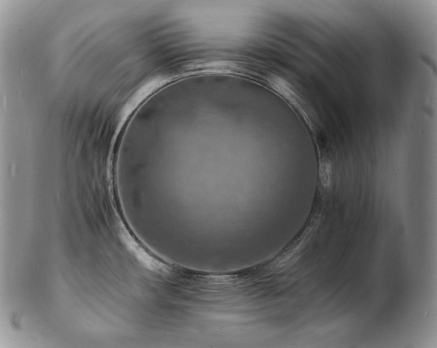 X0000103251482200808281452