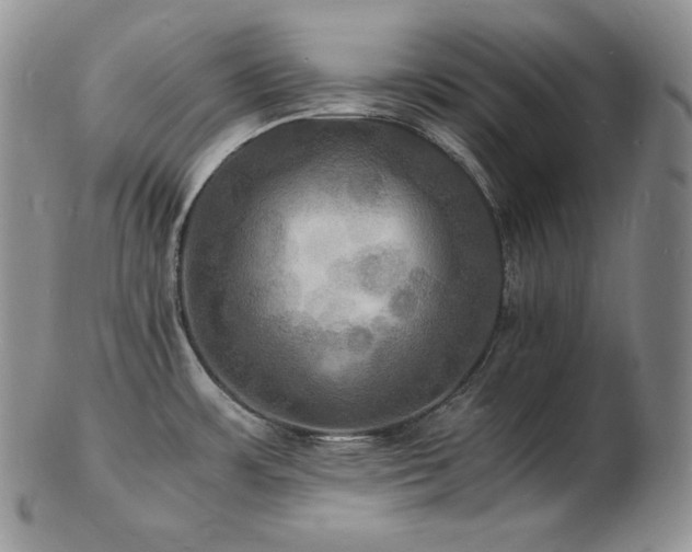 X0000103251483200808281452