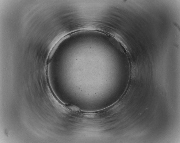 X0000103251484200808281452