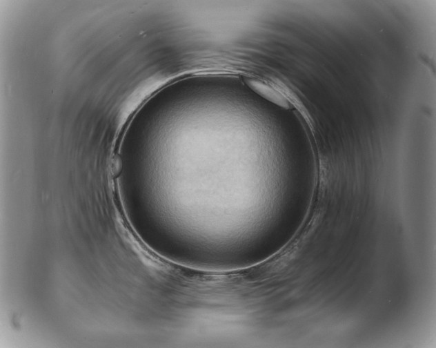 X0000103251485200808281452
