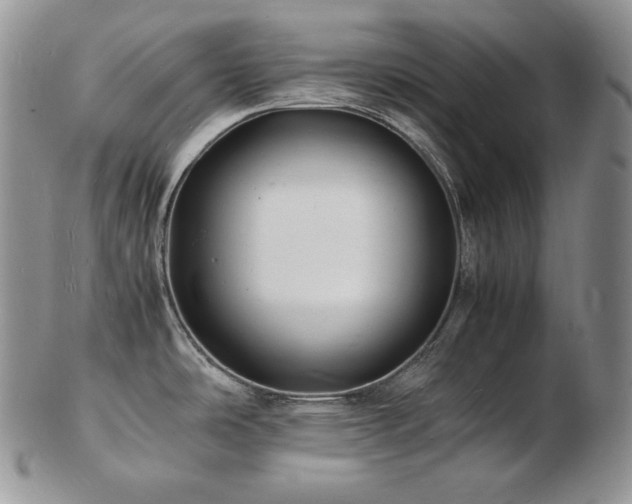 X0000103251486200808281452