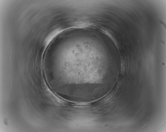 X0000103251487200808281452