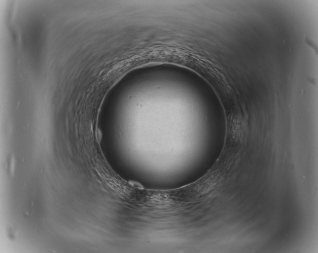 X0000103251489200808281451