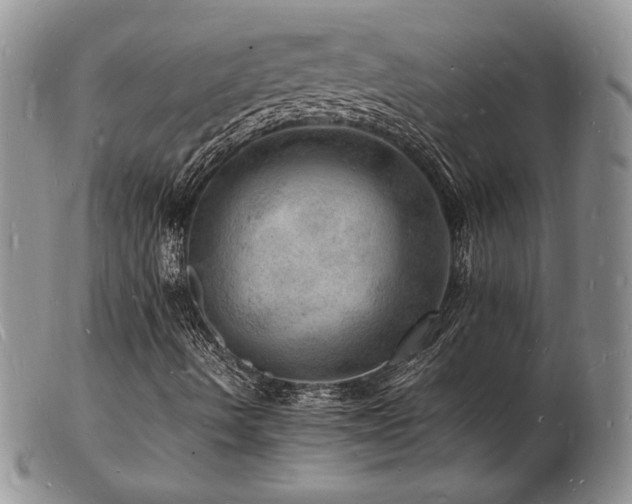 X0000103251490200808281451