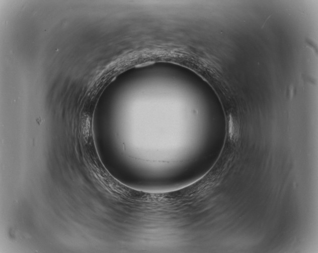 X0000103251492200808281452