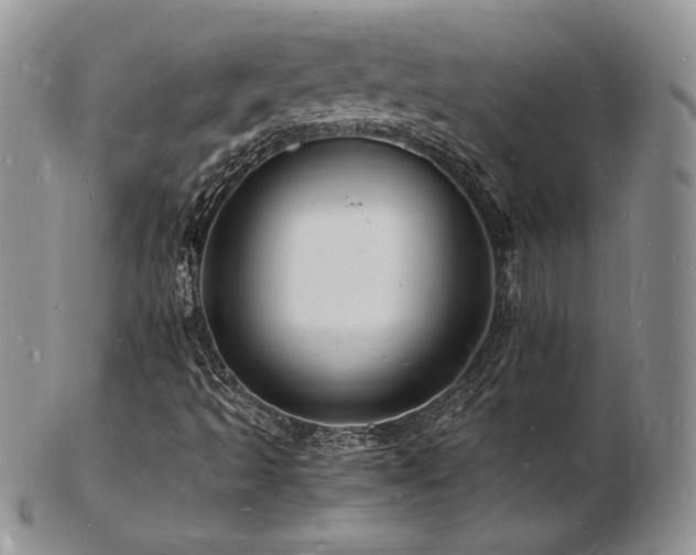 X0000103251493200808281452