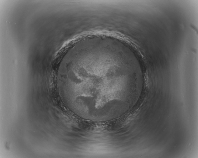 X0000103251494200808281452