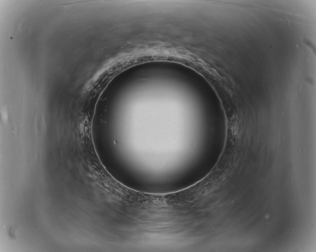 X0000103251495200808281452