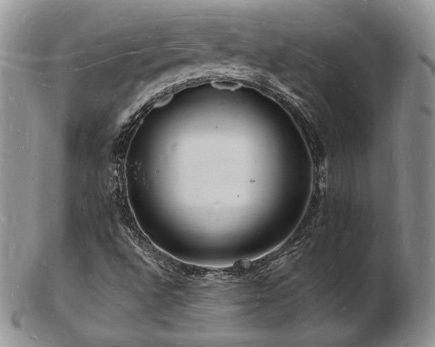 X0000103251496200808281452