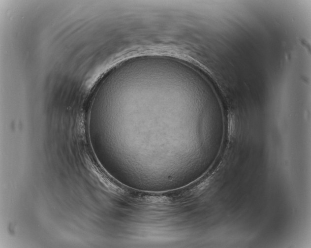 X0000103251498200808281452