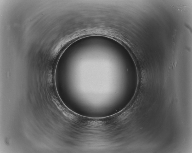 X0000103251499200808281452