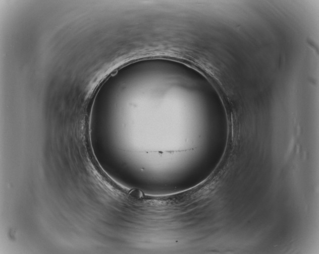 X0000103251500200808281452