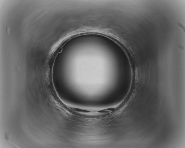 X0000103251502200808281452