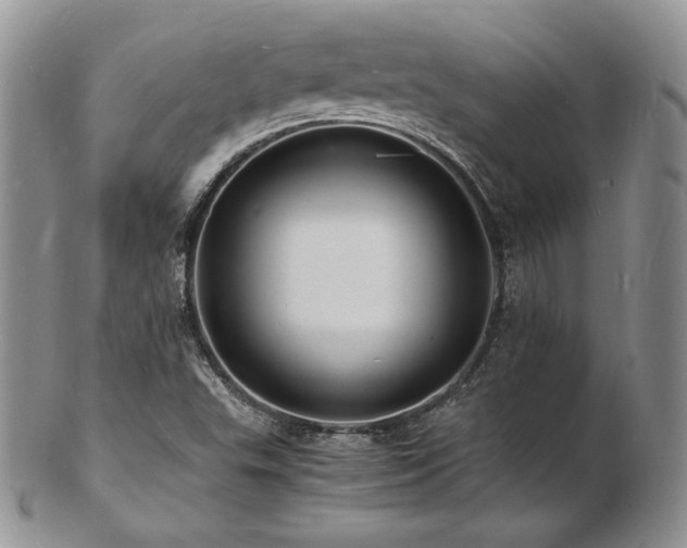 X0000103251503200808281452