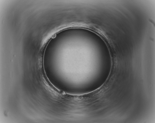 X0000103251504200808281452