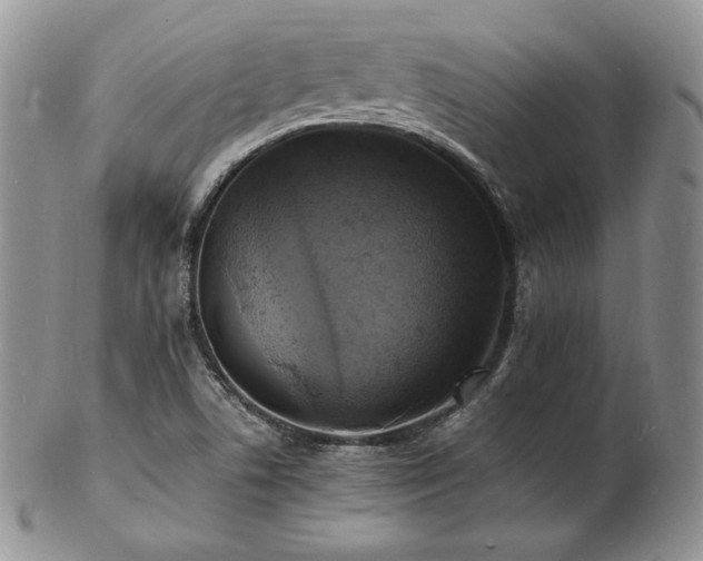 X0000103251506200808281452