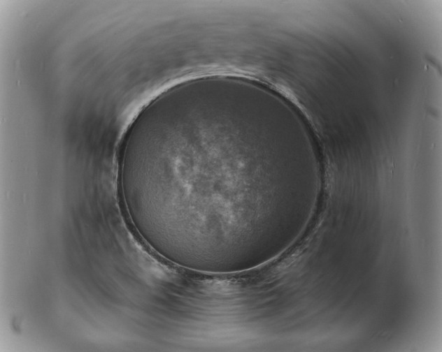 X0000103251508200808281452