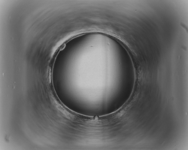 X0000103251510200808281452