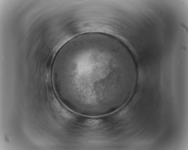 X0000103251513200808281452
