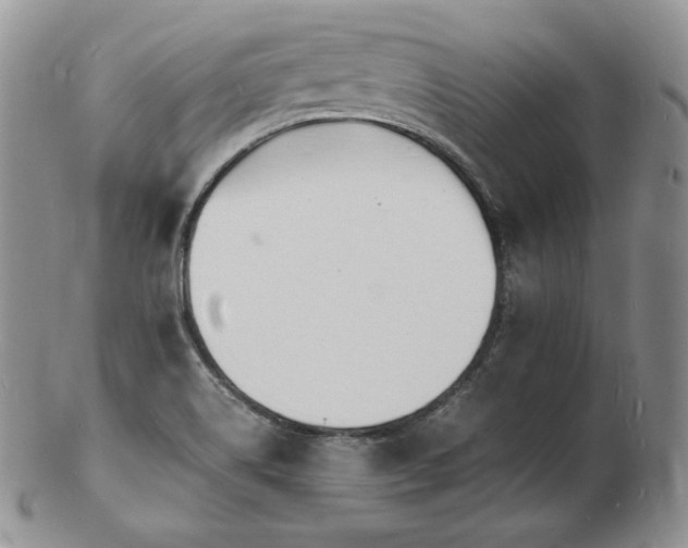 X0000103251514200808281452