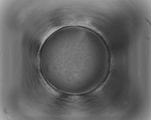 X0000103251517200808281452