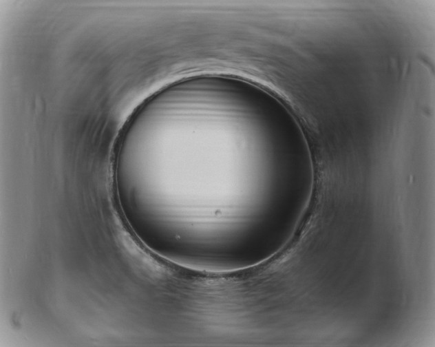 X0000103251518200808281452