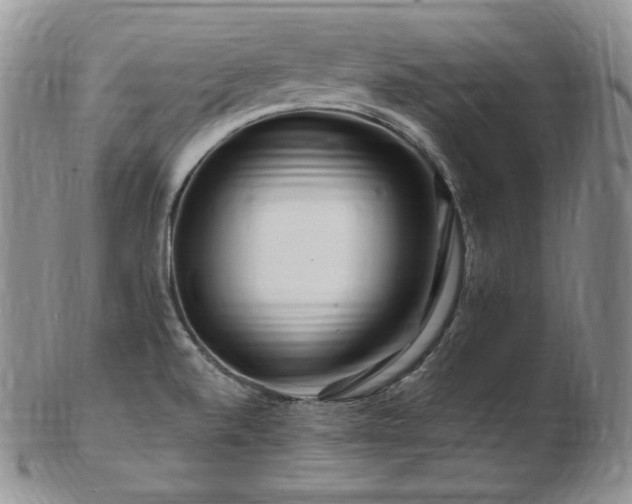 X0000103251520200808281452