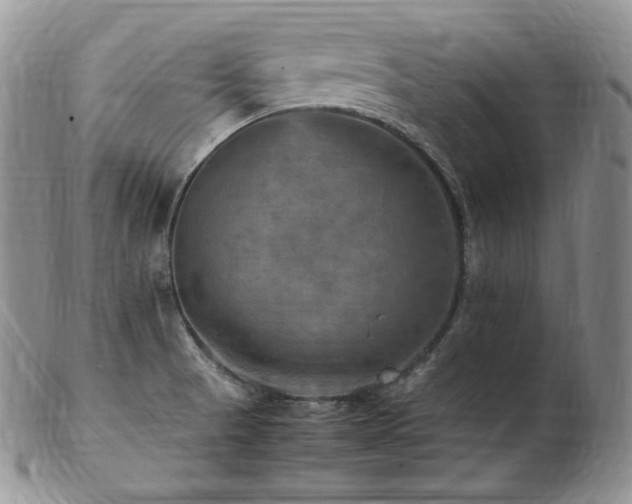 X0000103251521200808281452