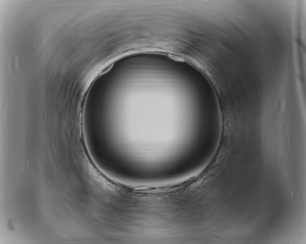 X0000103251524200808281452