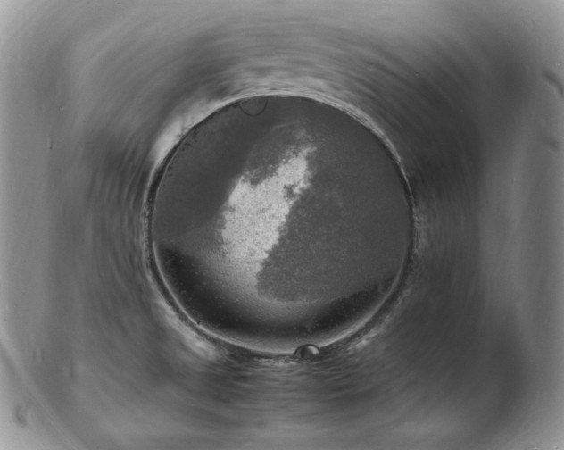 X0000103251525200808281452