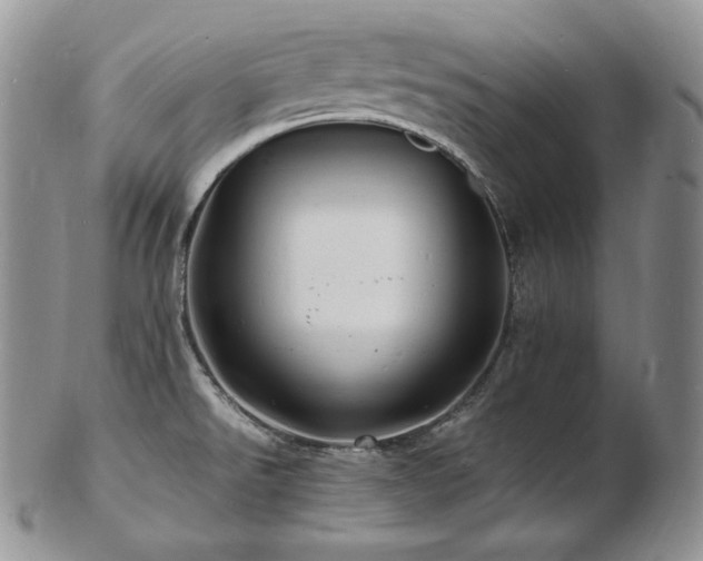 X0000103251526200808281452