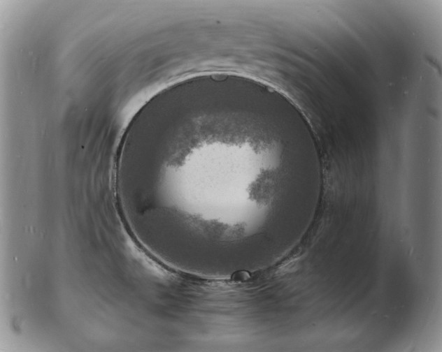 X0000103251527200808281452