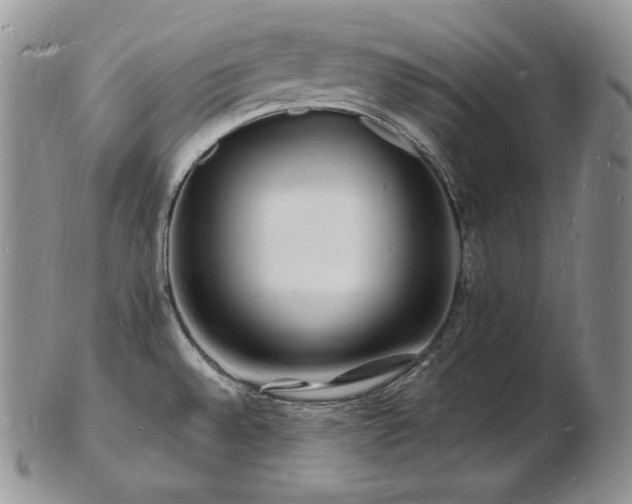 X0000103251528200808281452