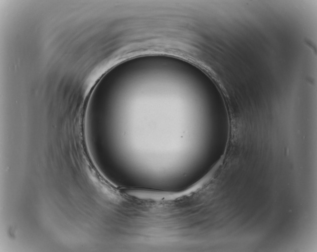 X0000103251530200808281452