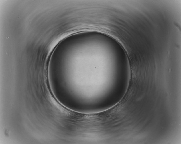 X0000103251531200808281452