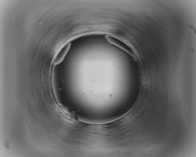 X0000103251532200808281452