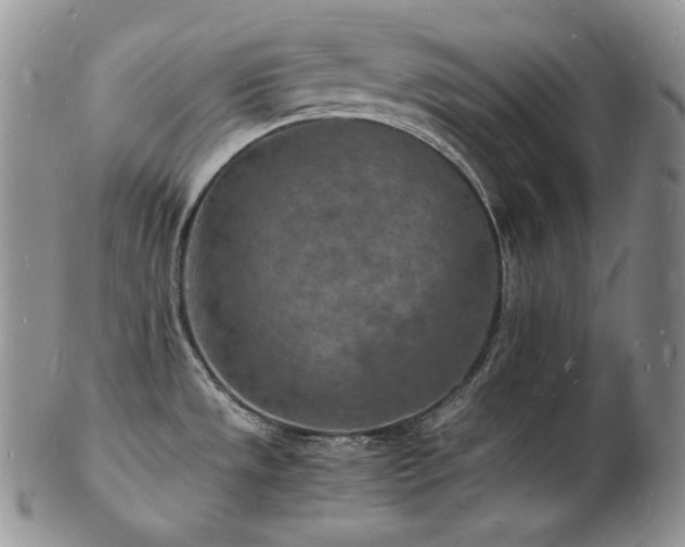 X0000103251533200808281452