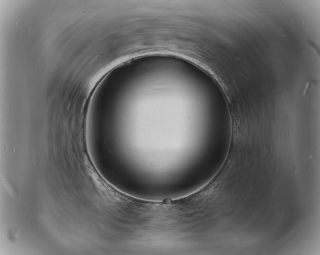 X0000103251534200808281452
