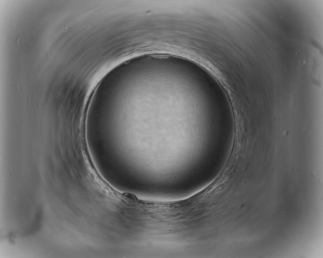 X0000103251536200808281452