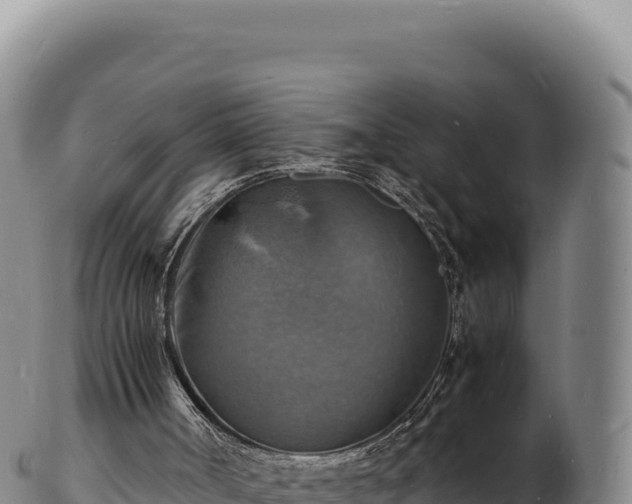 X0000103250002200809041119
