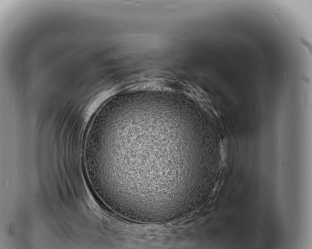 X0000103250003200809041119