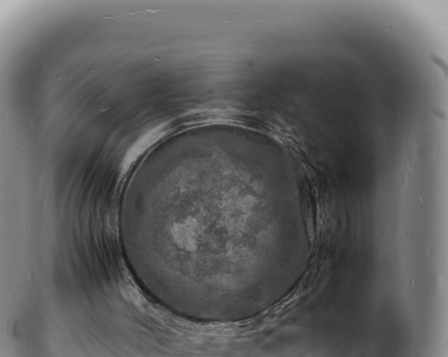 X0000103250004200809041119