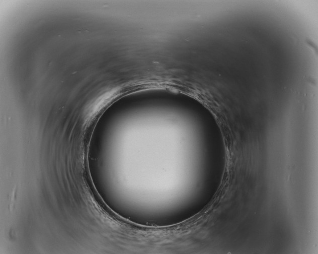 X0000103250005200809041119