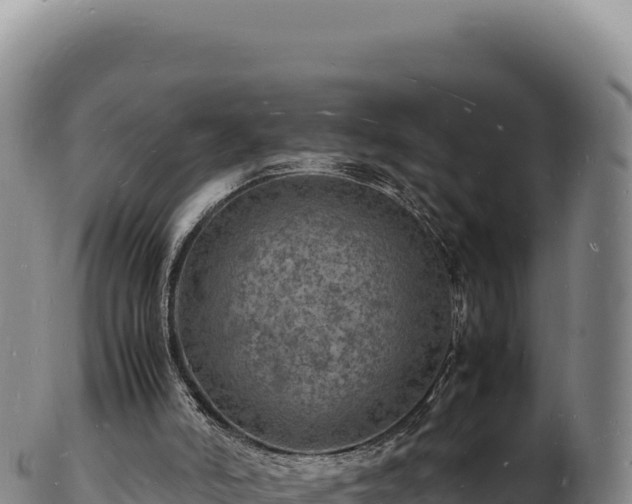 X0000103250006200809041119
