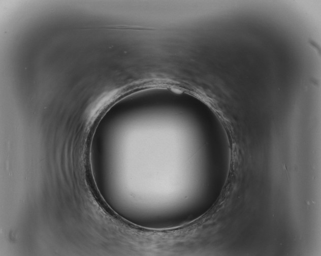 X0000103250007200809041119