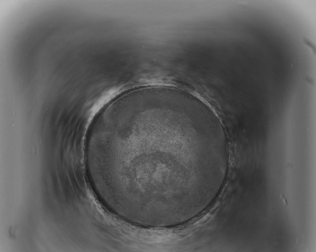 X0000103250008200809041119