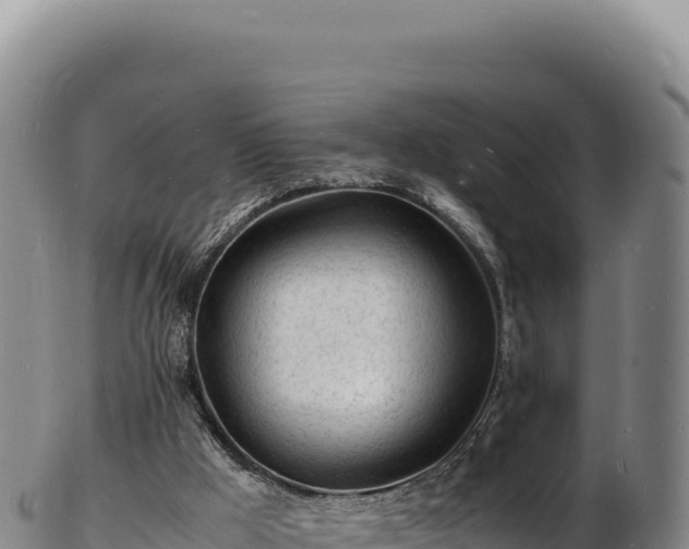 X0000103250009200809041119