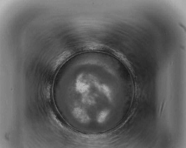 X0000103250010200809041119